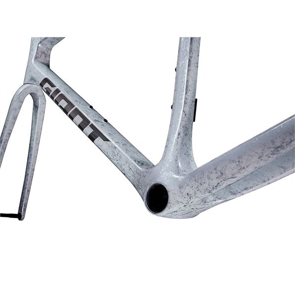 Khung xe đạp Giant TCR Advanced SL Frame And Fork